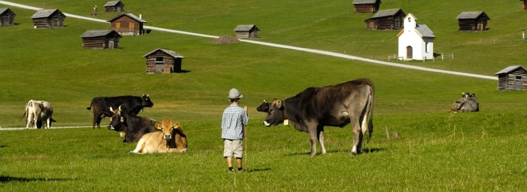 Sommer Pfundser Tschey