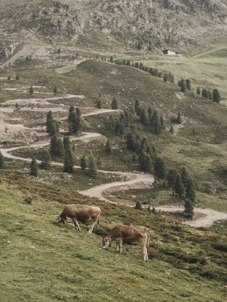 VAYA Kühtai Wandern