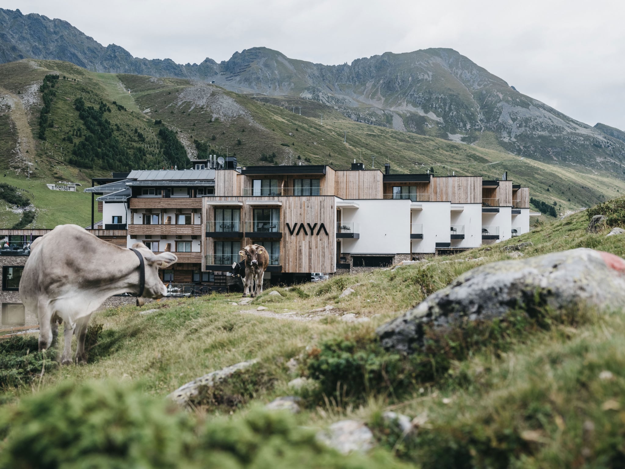 VAYA Kuehtai Sommerurlaub VAYA Kuehtai Sommerurlaub