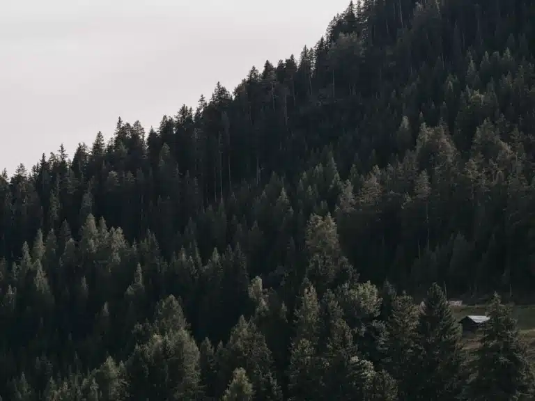 VAYA Serfaus Wald