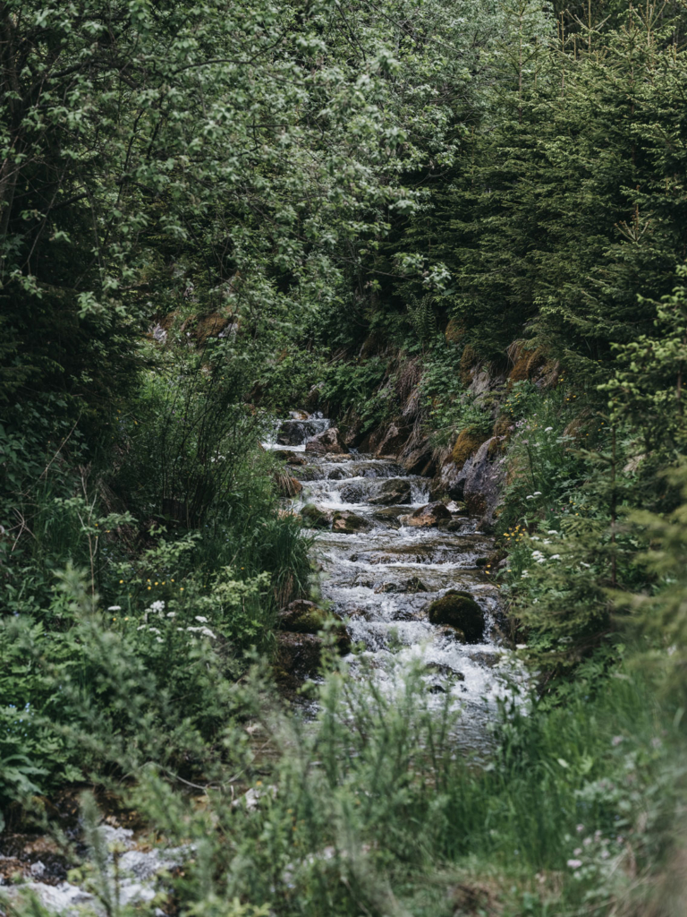 VAYA Sommer in der Natur