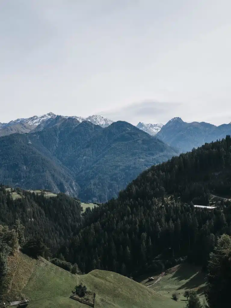 VAYA Sommer Sefaus