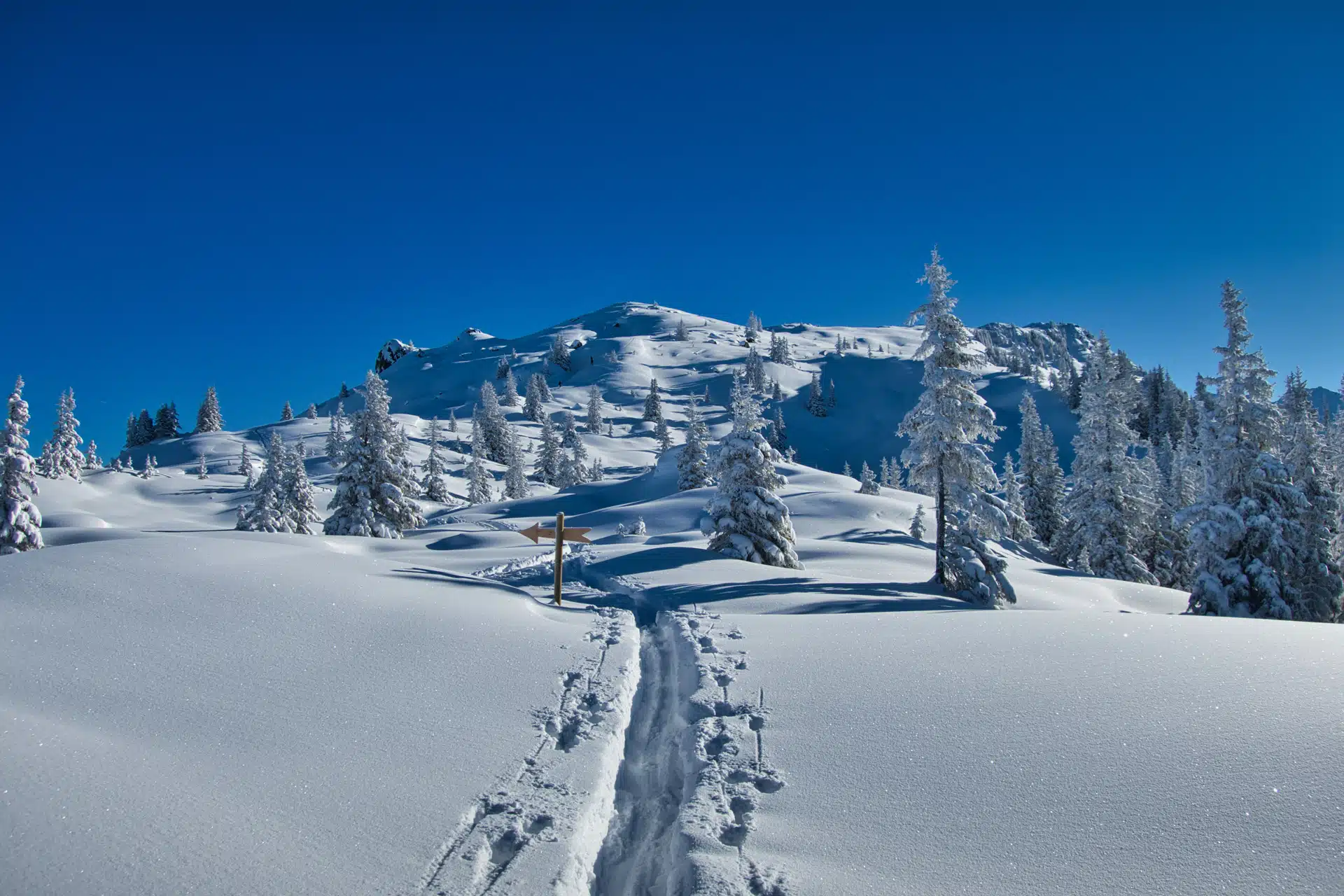 Winterlandschaft im Montafon Vorarlberg ©Andhall AdobeStock_312643855 Winterlandschaft im Montafon Vorarlberg ©Andhall AdobeStock_312643855
